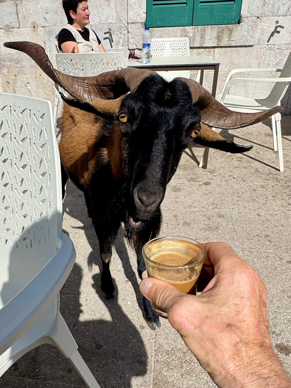 Kawa na trasie – dlaczego warto ją pić podczas rowerowych przygód?